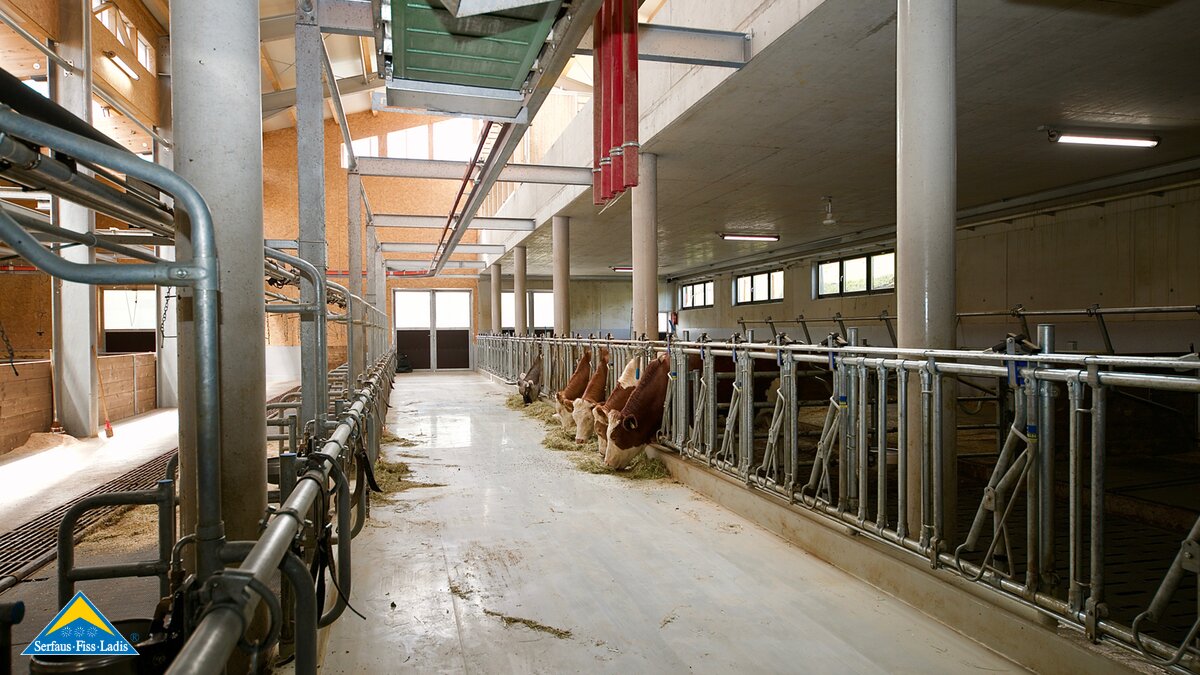 moderner Stall Tirol Ladis Belezzahof automatische Fütterung Ausmistung Hightech Besuch Bauernhof Blog Serfaus-Fiss-Ladis | © Gabriel Netzer