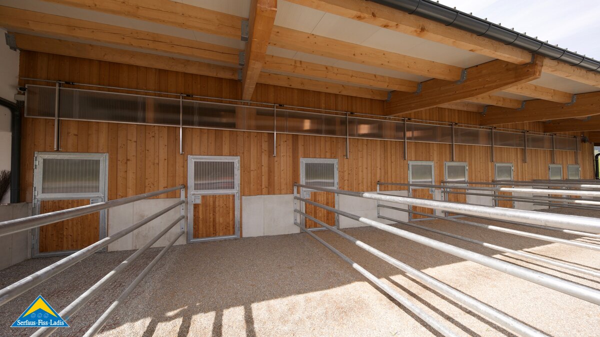 Haftlingerzucht Pferdestall Familienregion Serfaus-Fiss-Ladis in Tirol Leo Netzer Belezzahof Überwasser  | © Gabriel Netzer