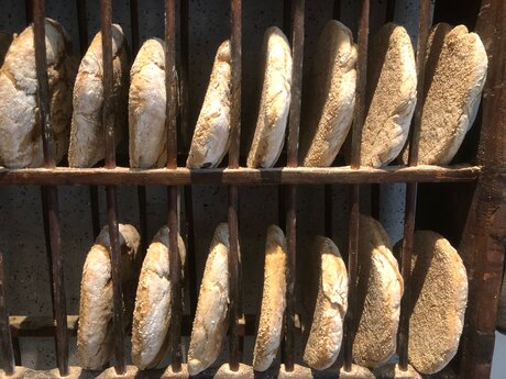 Hofladen Familienregion Serfaus-Fiss-Ladis in Tirol Belezzahof Gasslbauer Jenewein Blog People of SFL ein Tag am Bauernhof | © Gabriel Netzer