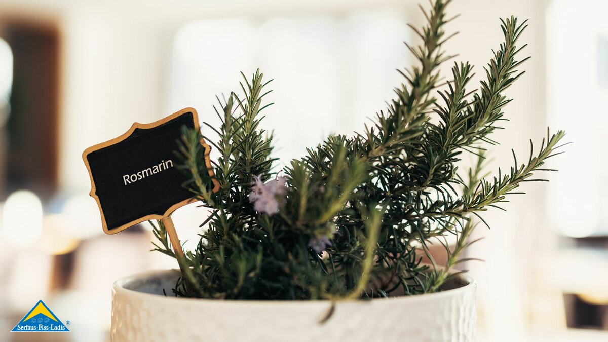 Rosmarin im Kräutertopf kochen mit frischen Kräutern im Gourmetrestaurant R35 in Ladis in Tirol | © Andreas Schalber
