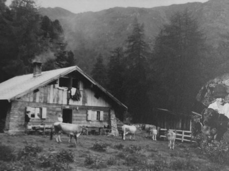 Alte Fotografie von der Schöngampalm auf der Fisser Nordseite im Sommer in Serfaus-Fiss-Ladis in Tirol | © Patrick Landerer