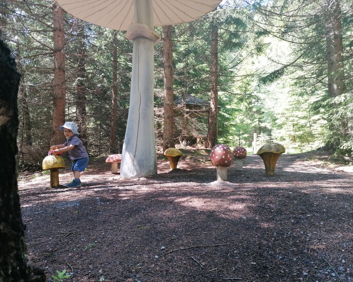 Überdimensionale Pilze im Wodebad in Serfaus Fiss Ladis in Tirol  | © Serfaus-Fiss-Ladis