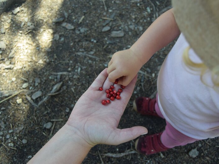 Preiselbeermarmelade Blog Serfaus-Fiss-Ladis | © Serfaus-Fiss-Ladis Marketing GmbH