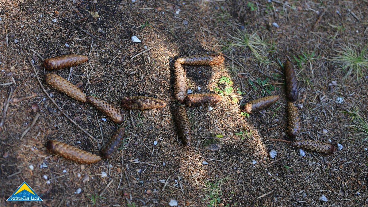 Mit Zapfen spielen Naturerlebnis Familienregion Serfaus-Fiss-Ladis | © Serfaus-Fiss-Ladis