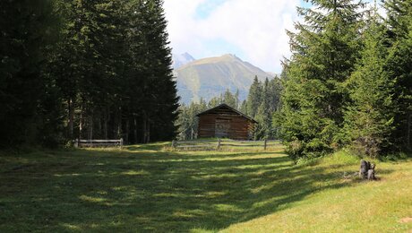leichter Wanderweg für die ganze Familie in Serfaus-Fiss-Ladis | © Serfaus-Fiss-Ladis