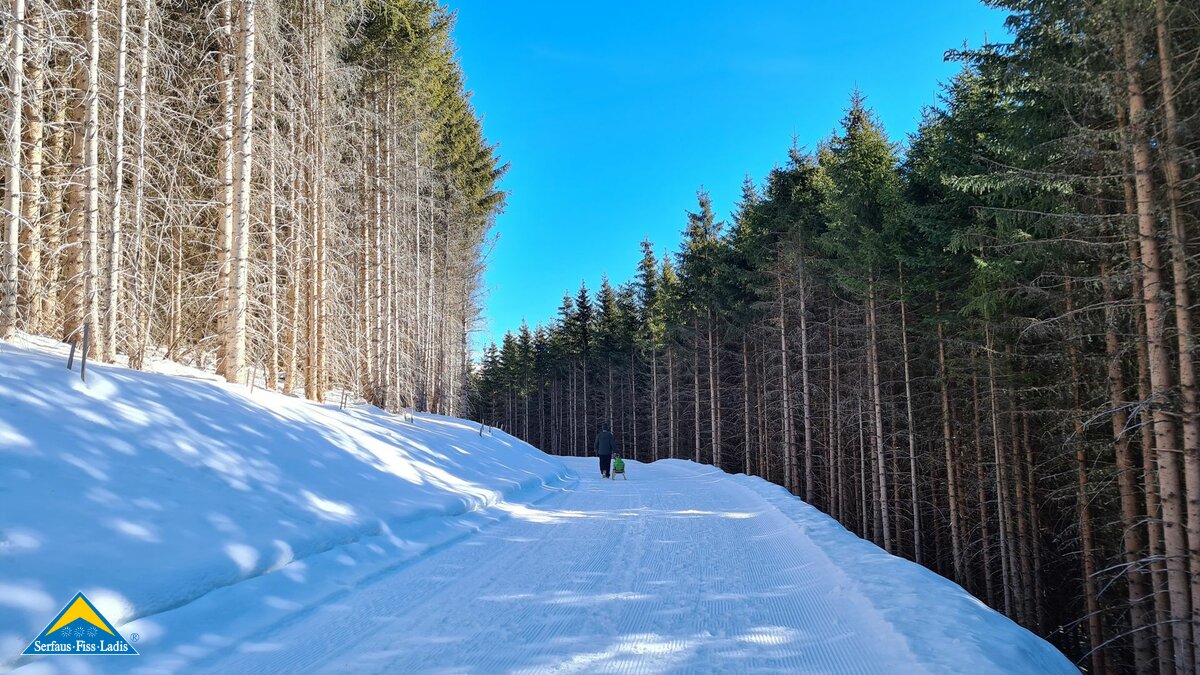 Winterwanderwege durch den Wald verschneit Familienregion Serfaus-Fiss-Ladis in Tirol | © Serfaus-Fiss-Ladis Marketing GmbH