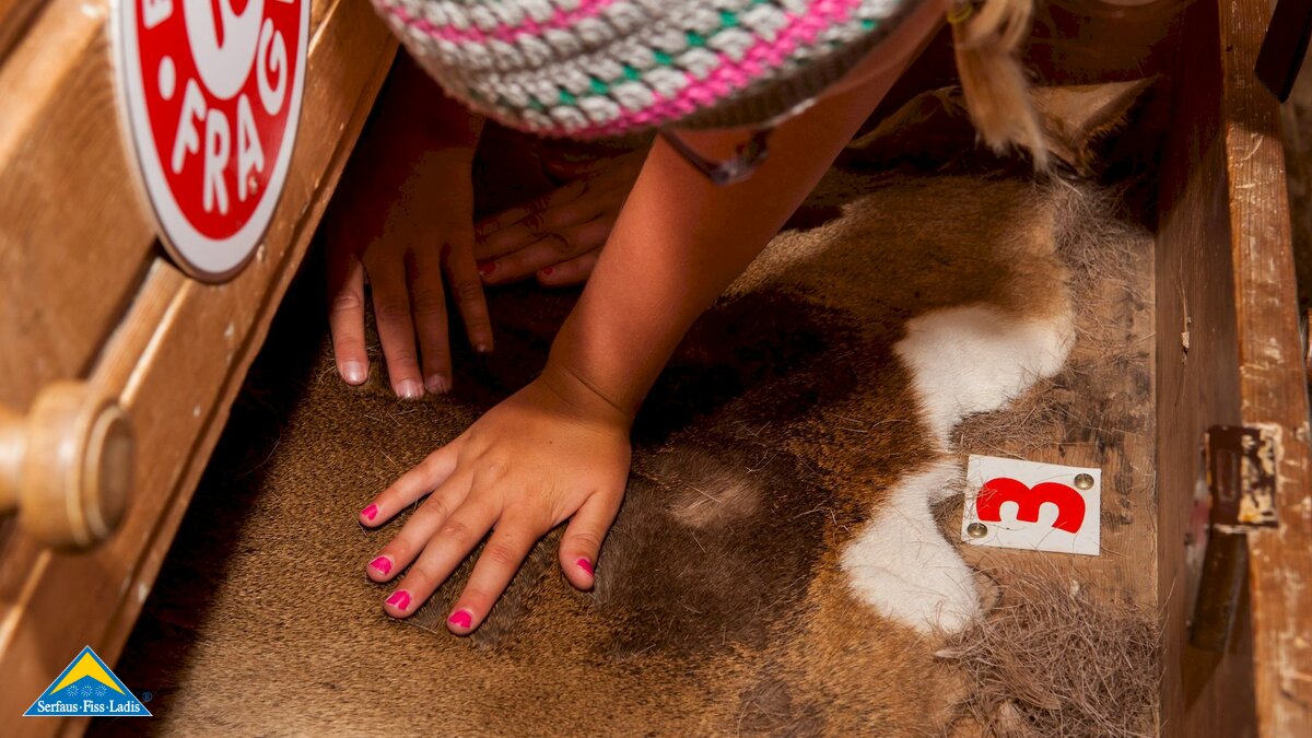 Wandern mit Kindern interaktiver Wanderweg Forscherpfad Abenteuerberge Thomas Brezina Kinderbuchautor Familienregion Serfaus-Fiss-Ladis in Tirol | © Serfaus-Fiss-Ladis Marketing GmbH | Andreas Kirschner