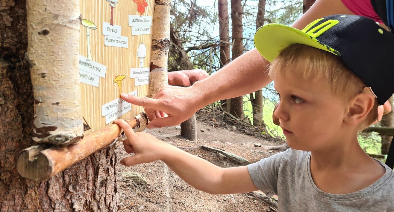 Pilzsuche am Forscherpfad in Serfaus-Fiss-Ladis Tirol Österreich | © Serfaus-Fiss-Ladis Marketing GmbH