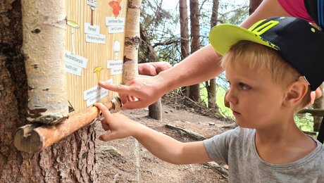 Pilzsuche am Forscherpfad in Serfaus-Fiss-Ladis Tirol Österreich | © Serfaus-Fiss-Ladis Marketing GmbH