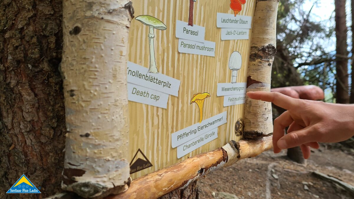 Rätsel lösen am Forscherpfad in Serfaus-Fiss-Ladis in Tirol Österreich | © Serfaus-Fiss-Ladis Marketing GmbH