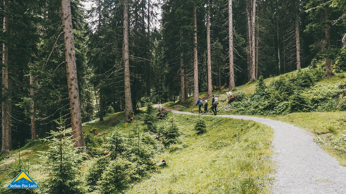 Six-Senses Weg hinunter nach Madataschen interaktiver kinderwagentauglicher Wanderweg im Sommer Familienregion Serfaus-Fiss-Ladis Tirol | © travelisto.net 