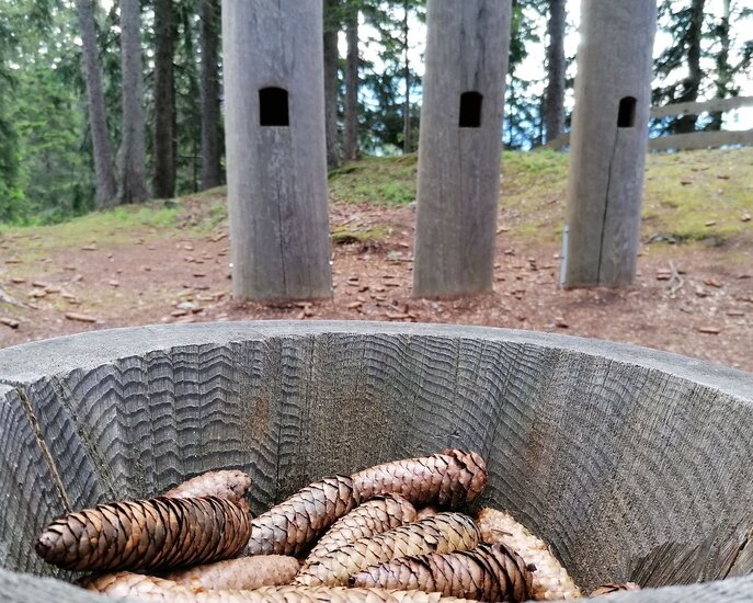 Wodebad oberhalb von Obladis in der familienfreundlichen Alpenregion befindet sich ein Spielplatz mit Grillstellen | © Serfaus-Fiss-Ladis Marketing GmbH