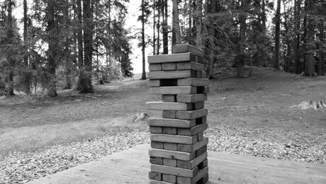 Spiele im Wodebad in der Familienregion Serfaus-Fiss-Ladis: Jenga-Turm, Puzzle, Zapfenwerfen, riesengrosse Ameisen, See, Grillplatz | © Serfaus-Fiss-Ladis Marketing GmbH