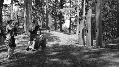 Im Wodebad oberhalb von Neuegg in der Familienregion Serfaus-Fiss-Ladis in Tirol gibt es einen großen Spielplatz mit Grillplatz | © Serfaus-Fiss-Ladis