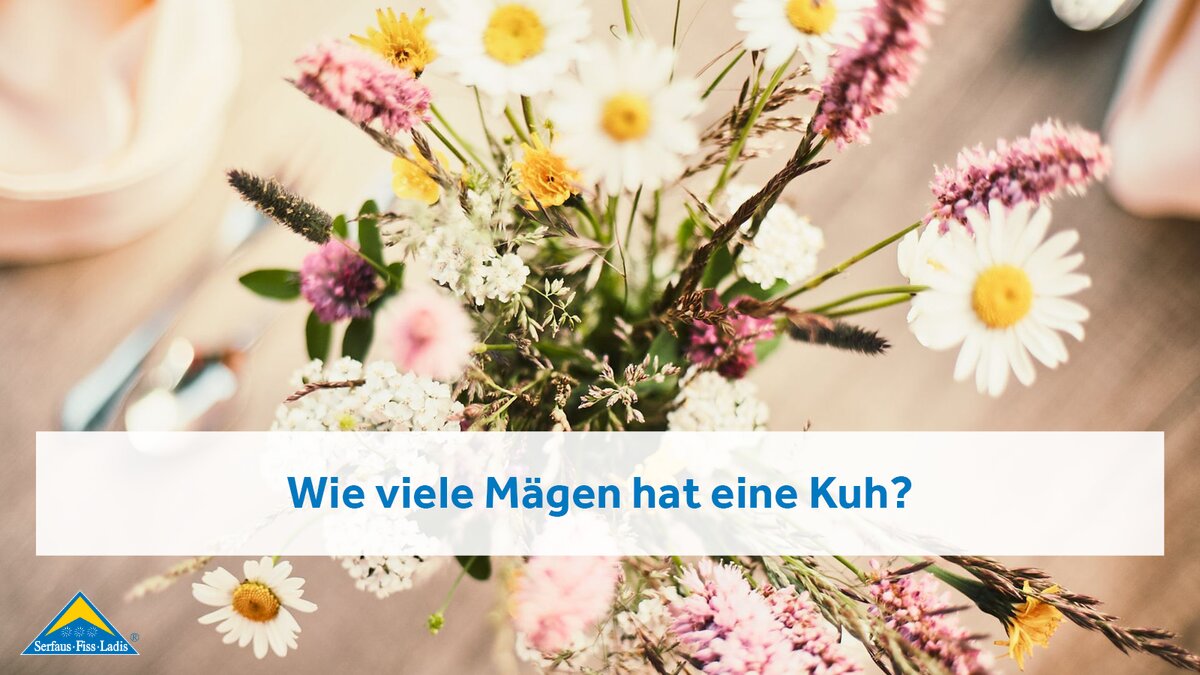 Strauß aus Wiesenblumen in Serfaus-Fiss-Ladis in Tirol | © Serfaus-Fiss-Ladis Marketing GmbH | Christian Waldegger