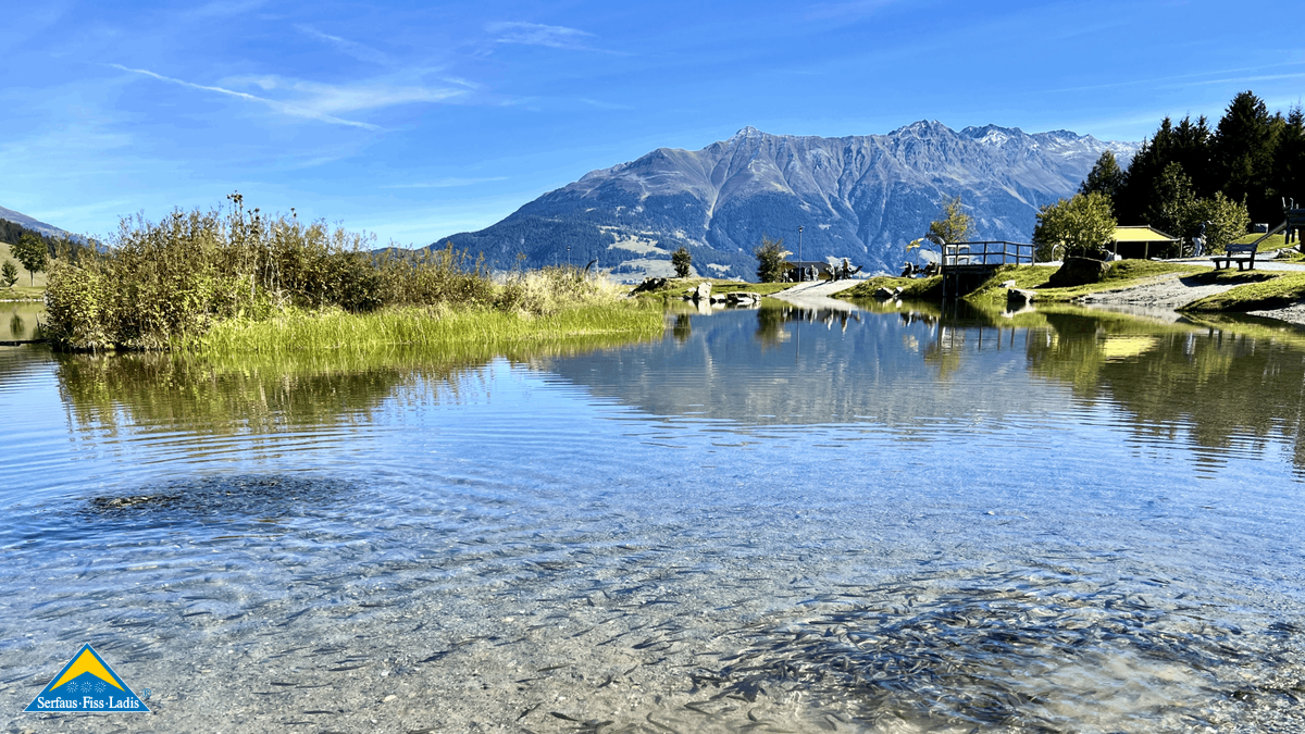 Am Wolfsee in Fiss gibt es viele Fische zu beobachten. | © unaufschiebbar.de