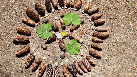 Mandala aus Naturmaterialien in Serfaus-Fiss-Ladis gestalten | © Serfaus-Fiss-Ladis Marketing GmbH | Andreas Kirschner