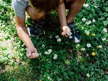Der Erlebnisspielplatz Rabuschl liegt zwischen Fiss und Ladis | ©  Serfaus-Fiss-Ladis Marketing GmbH | Rene Raggl