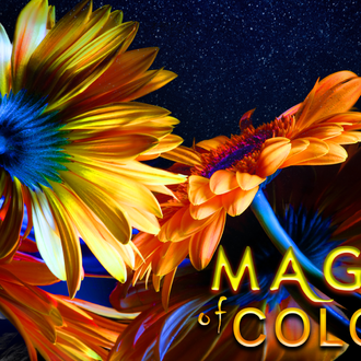 Adventure Night 2026_26