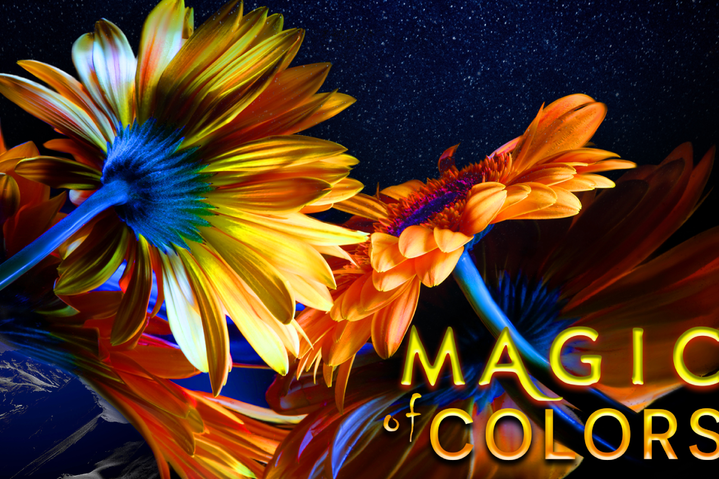 Adventure Night 2026_26