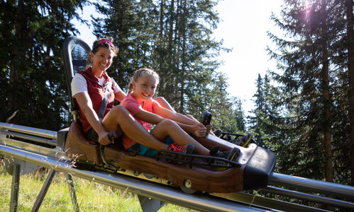 Schneisenfeger family coaster