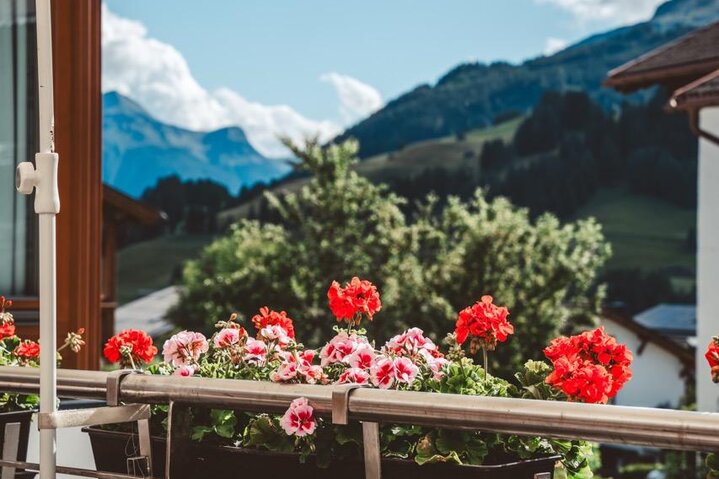 Groß ((c)_LeiterMichael_Stüberl_Terasse-30)