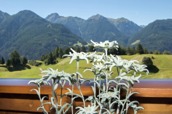 Balkon_Aussicht | © Bildkreis